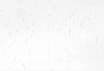 Carrara Plasma PSQ