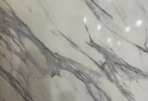 Calacatta Botanica PSQ