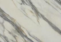Calacatta Botanica PSQ