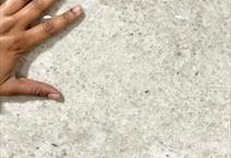 Colonial white Polish