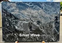 Silver waves P/L